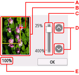 Ecran de previzualizare